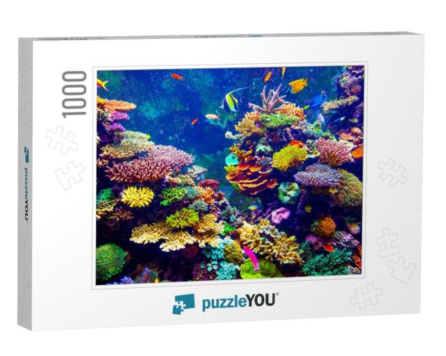 Coral Reef & Tropical Fish in Sunlight. Singapore Aquariu... Jigsaw Puzzle with 1000 pieces