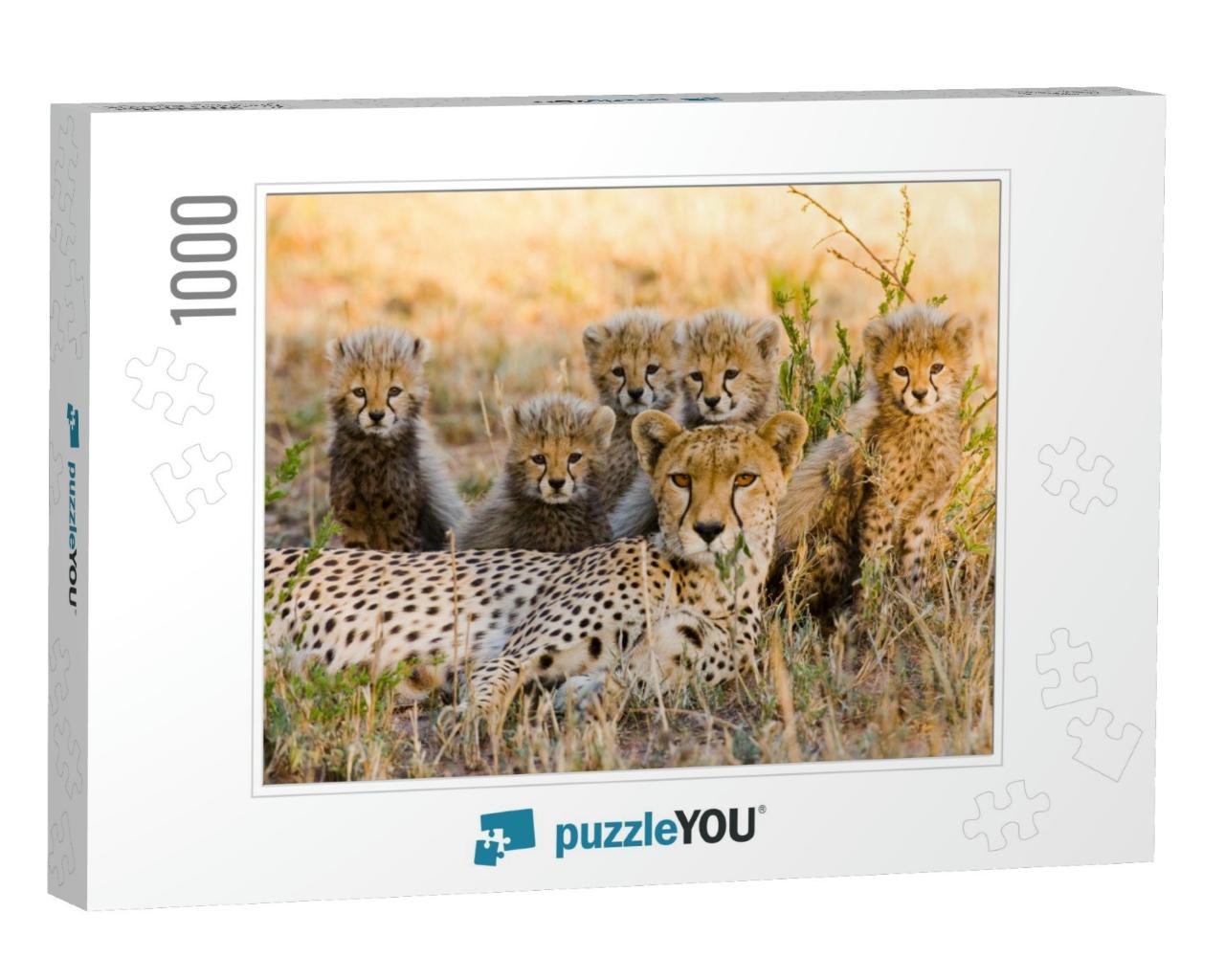 Mother Cheetah & Her Cubs in the Savannah. Kenya. Tanzani... Jigsaw Puzzle with 1000 pieces