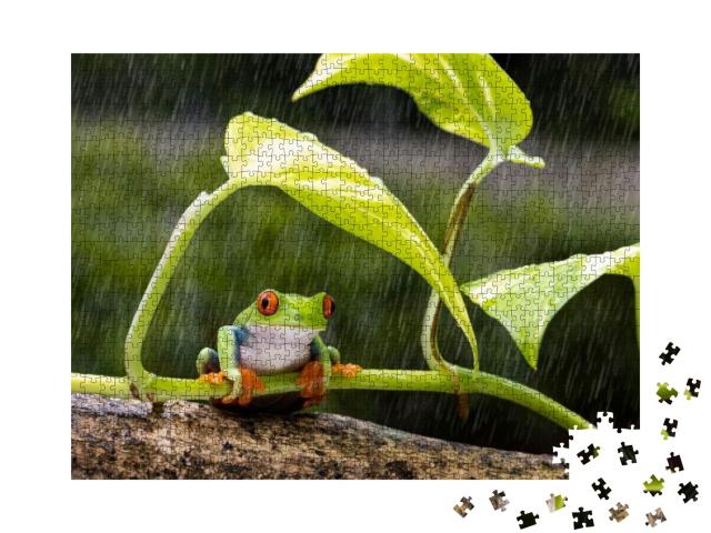 Red Eye Tree Frog Sitting Below the Green Leave During He... Jigsaw Puzzle with 1000 pieces