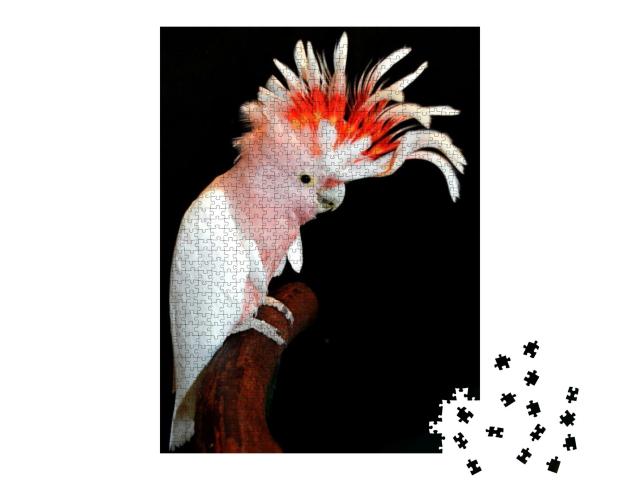 Pink Cockatoo Native to Australia... Jigsaw Puzzle with 1000 pieces