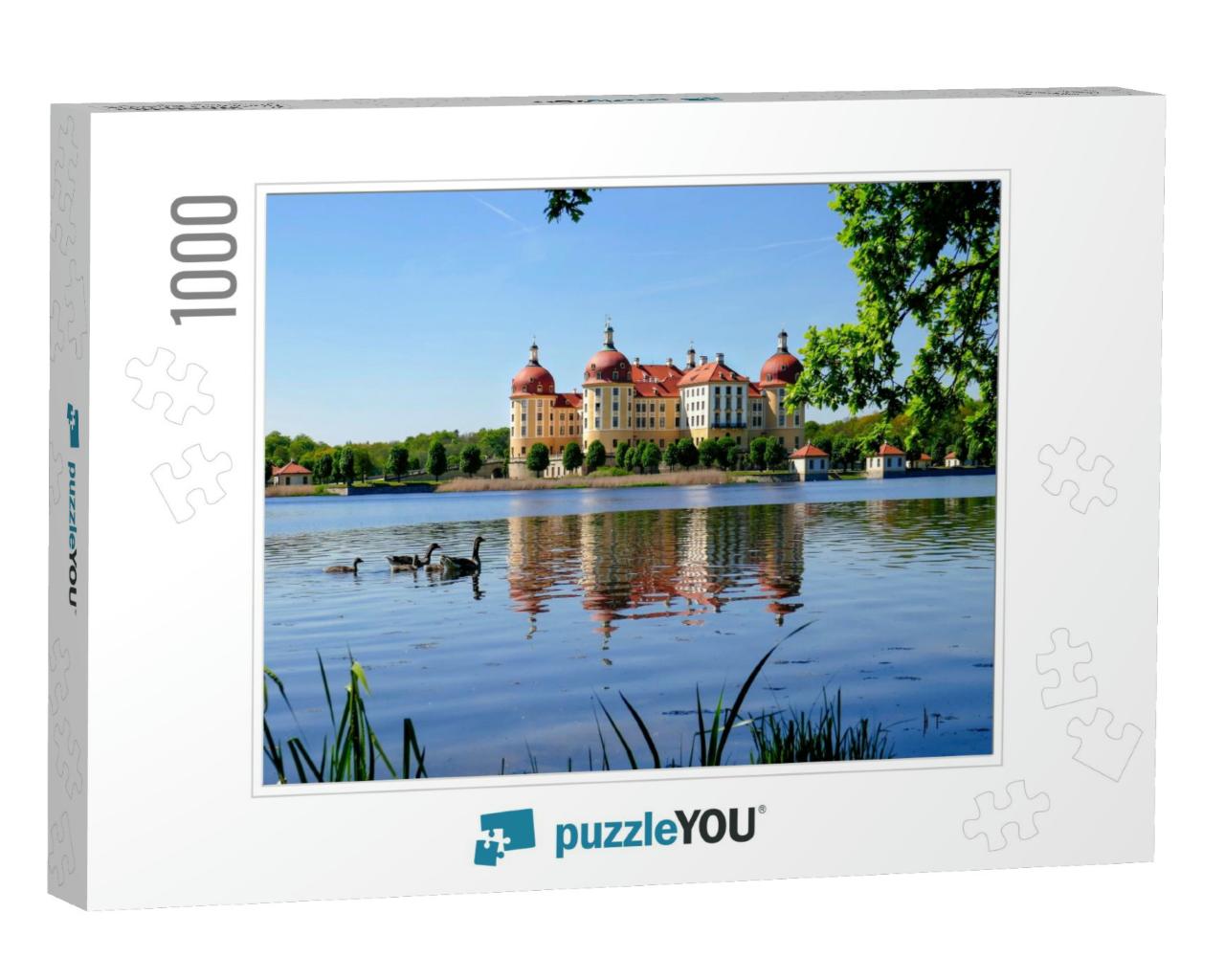 The Beautiful Castle of Moritzburg in Saxony, Germany... Jigsaw Puzzle with 1000 pieces