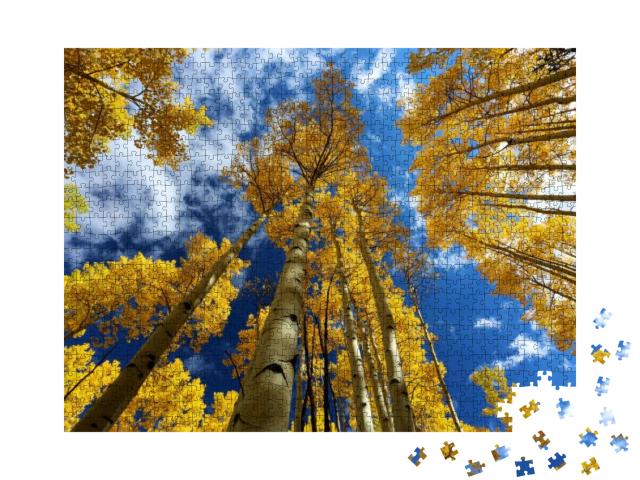 Autumn Canopy of Brilliant Yellow Aspen Tree Leaves in Fa... Jigsaw Puzzle with 1000 pieces