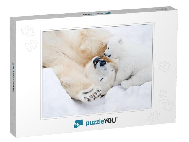 Female Polar Bear Playing with Her Little Cub on the Snow... Jigsaw Puzzle