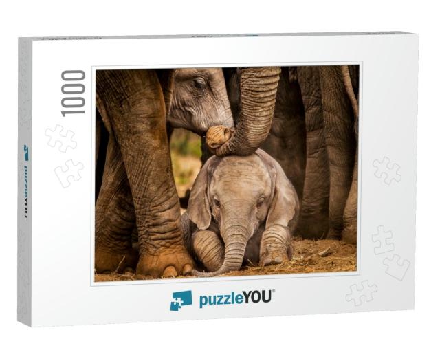 Baby African Elephant Under the Protection of the Adults... Jigsaw Puzzle with 1000 pieces
