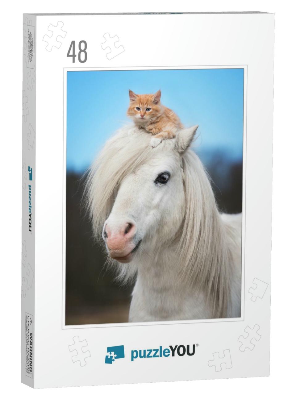 Little Red Kitten Sitting on the Head of White Shetland P... Jigsaw Puzzle with 48 pieces