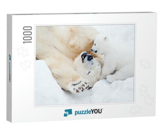 Female Polar Bear Playing with Her Little Cub on the Snow... Jigsaw Puzzle with 1000 pieces