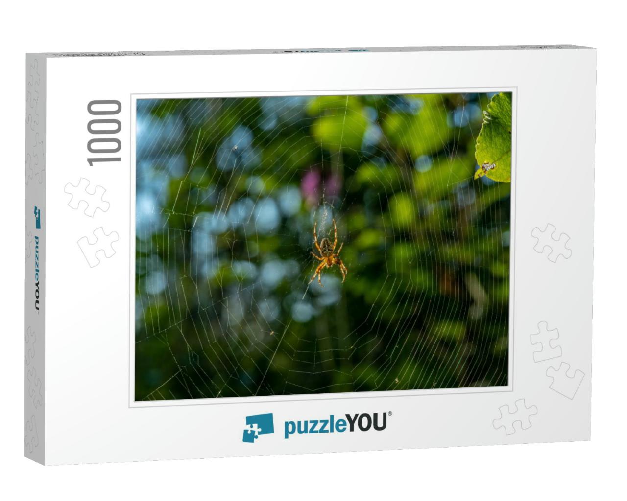 Detailed Close Up of a Large Garden Spider or Cross Spide... Jigsaw Puzzle with 1000 pieces