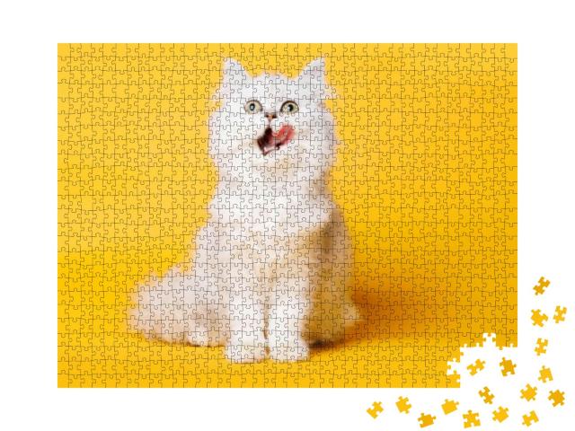 Funny Large Longhair White Cute Kitten with Beautiful... Jigsaw Puzzle with 1000 pieces