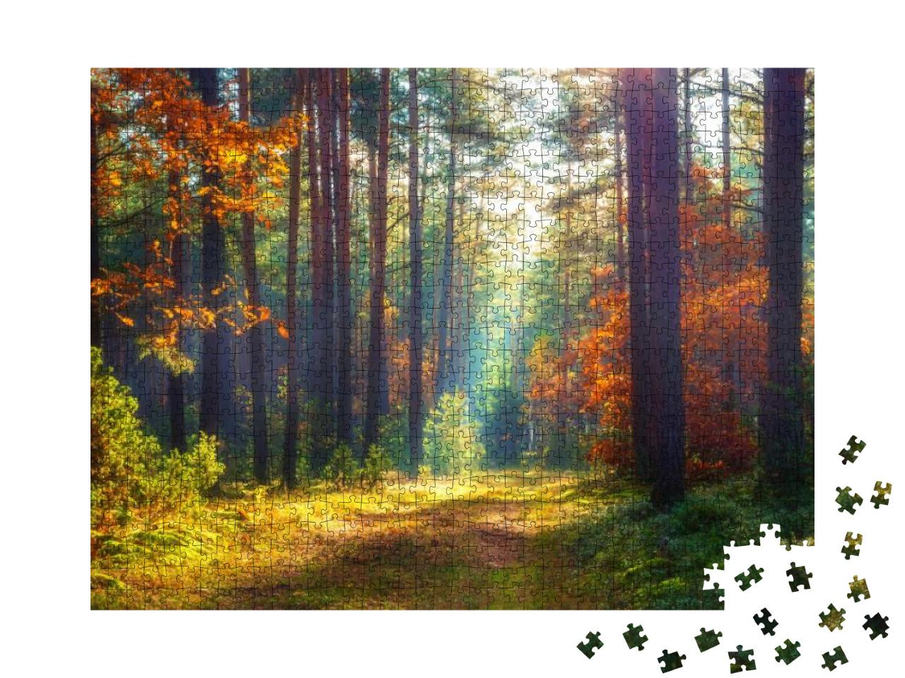 Autumn Nature Landscape. Sunny Autumn Forest. Beautiful C... Jigsaw Puzzle with 1000 pieces