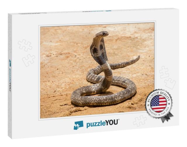 The King Cobra on Sand... Jigsaw Puzzle