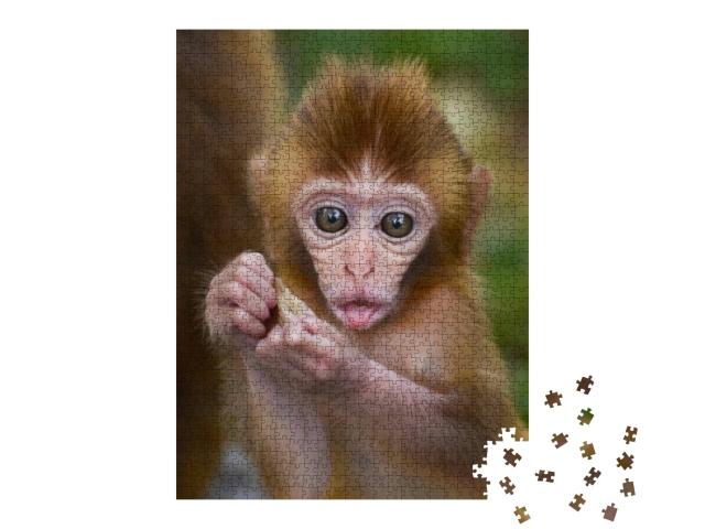 Cute Baby Monkey Eating in a Forest... Jigsaw Puzzle with 1000 pieces