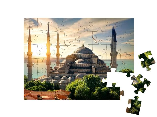 Seagulls Over Blue Mosque & Bosphorus in Istanbul, Turkey... Jigsaw Puzzle with 48 pieces