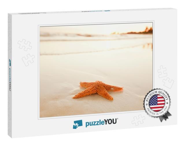 Starfish Shell on Beach in Sunrise Light, Seascape, Live... Jigsaw Puzzle