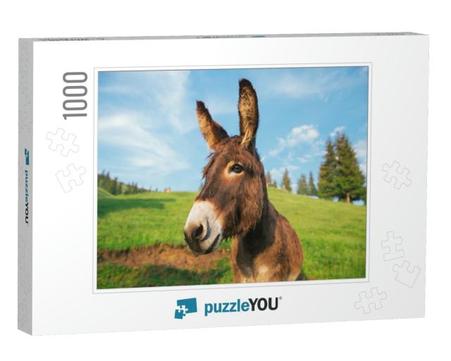 Picture of a Funny Donkey At Sunset in Transylvania... Jigsaw Puzzle with 1000 pieces