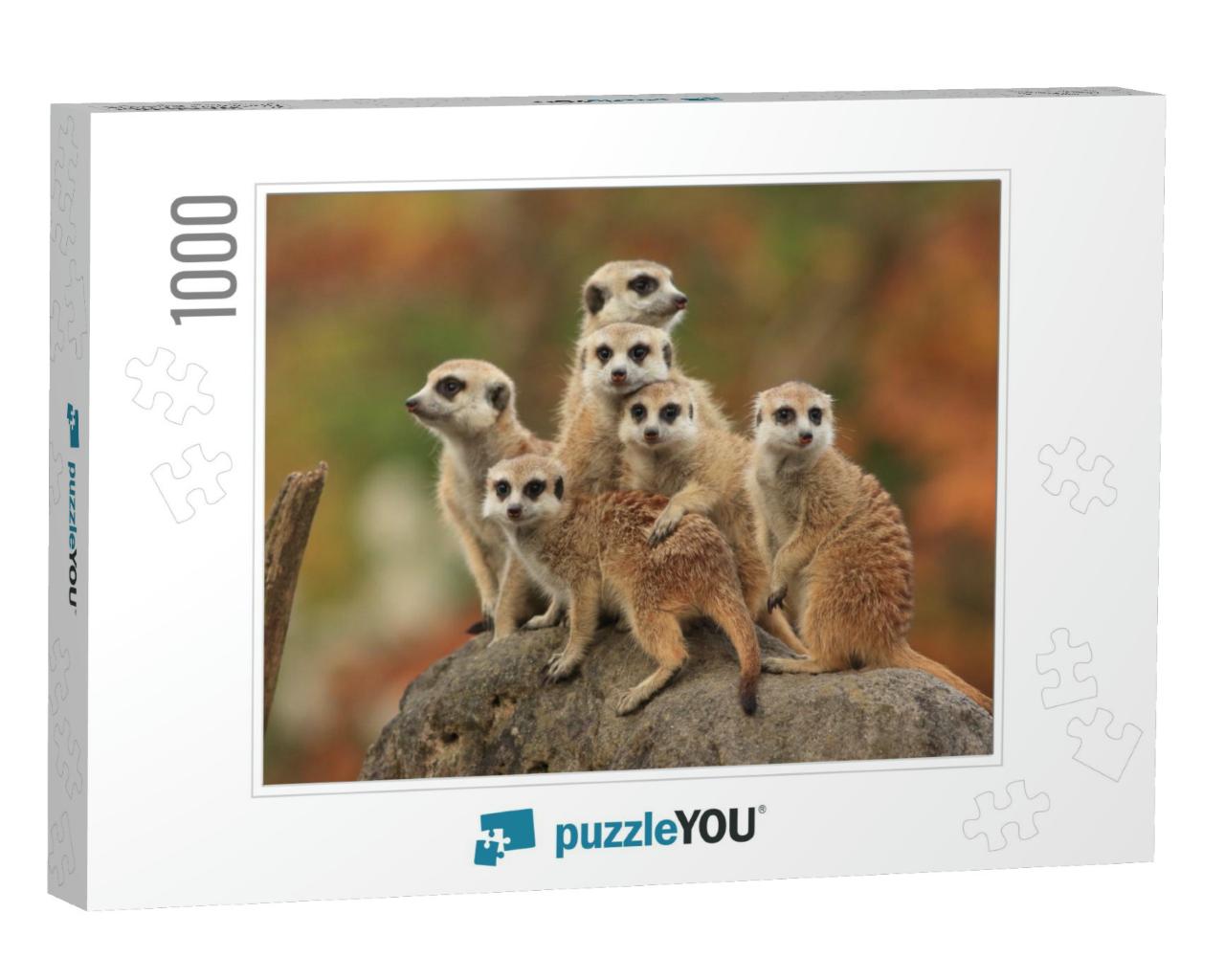 Group of Meerkat... Jigsaw Puzzle with 1000 pieces