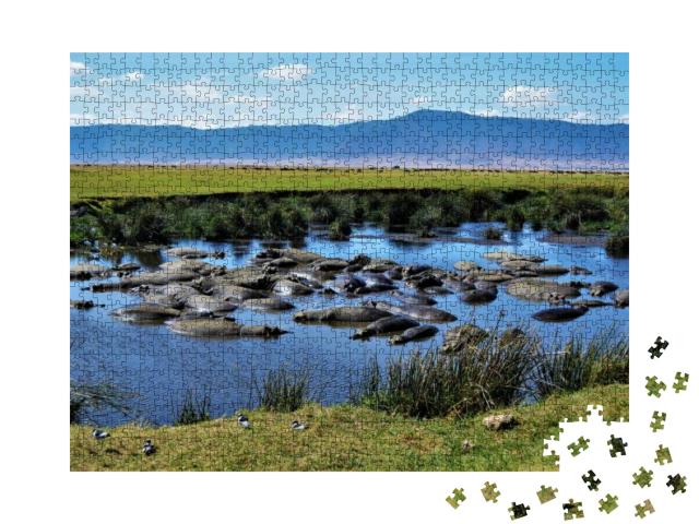 Hippo Pool, Ngorongoro Crater, Tanzania... Jigsaw Puzzle with 1000 pieces