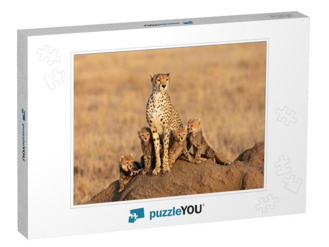 Female Cheetah & Her Four Tiny Cubs Sitting on a Large Te... Jigsaw Puzzle