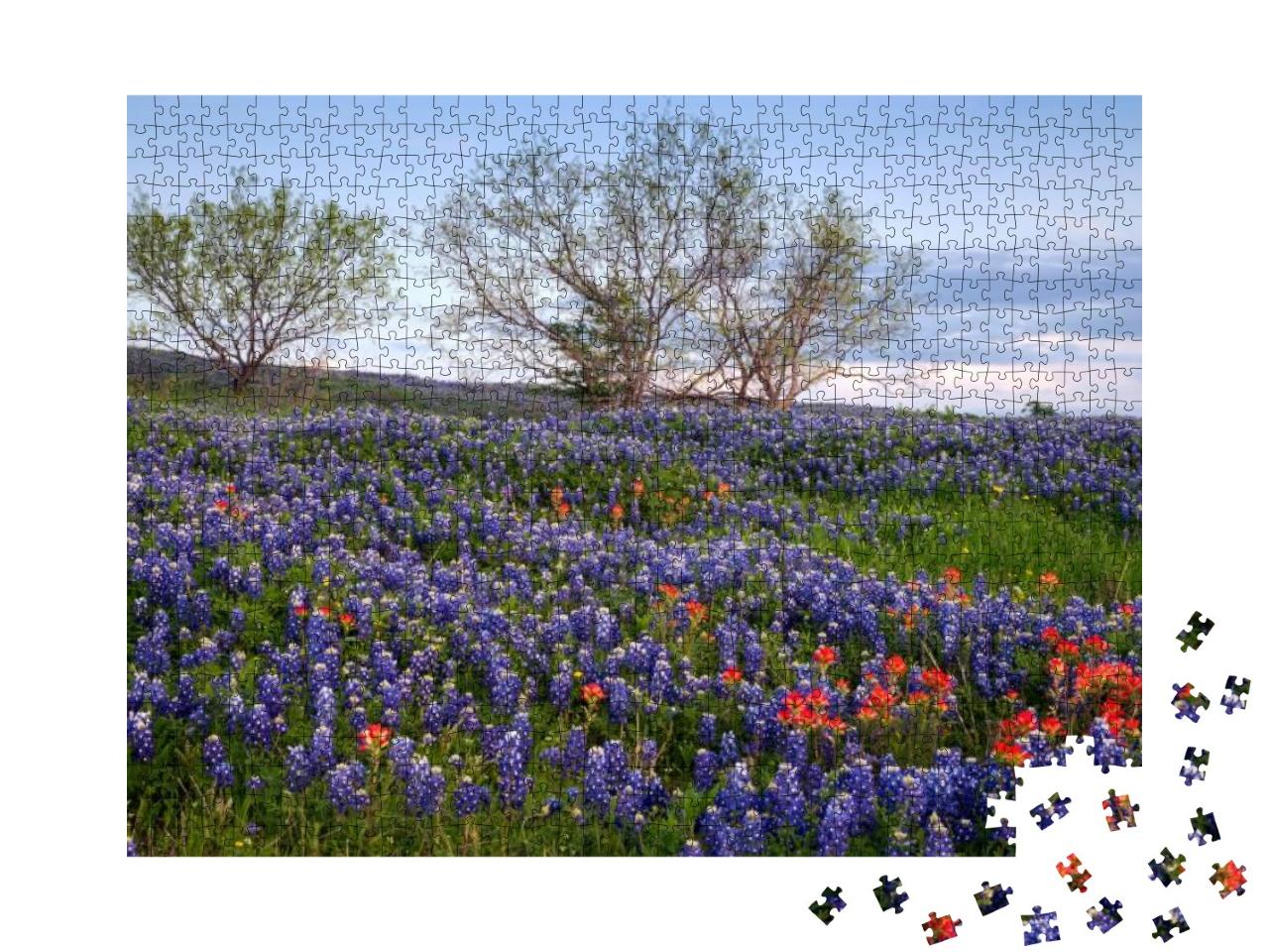 Bluebonnet Filled Meadow on the Ennis Bluebonnet Trail in... Jigsaw Puzzle with 1000 pieces