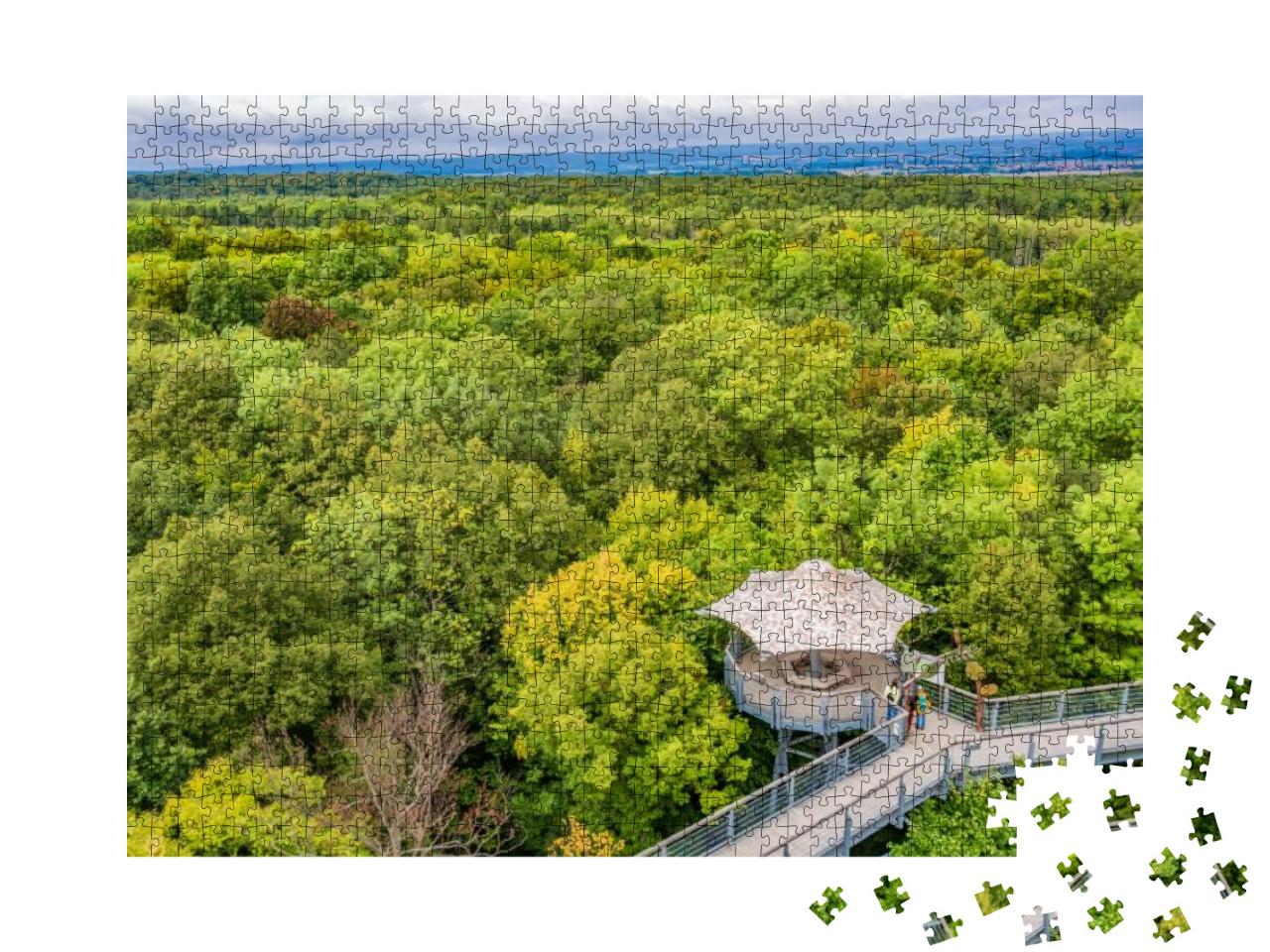 Primeval Beech Forests of Hainich National Park, Germany... Jigsaw Puzzle with 1000 pieces
