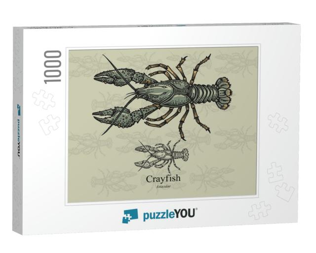 Crayfish. Vector Illustration with Refined Details... Jigsaw Puzzle with 1000 pieces