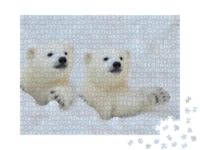 Two White Polar Bear Cubs Look Out of a Snow Hole... Jigsaw Puzzle with 1000 pieces