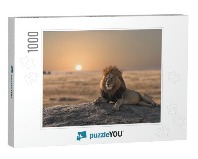 A Male Lion is Sitting on the Rock, Looking for His Area... Jigsaw Puzzle with 1000 pieces
