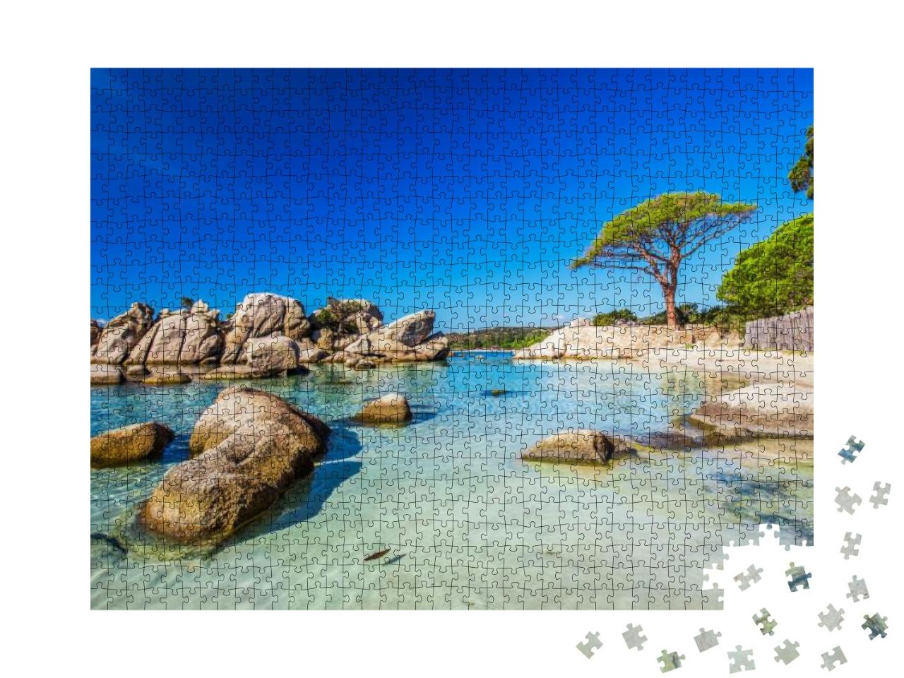 Famous Pine Tree on Palombaggia Beach with Azure Clear Wa... Jigsaw Puzzle with 1000 pieces