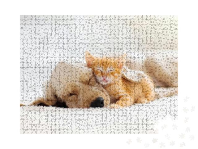 Cat & Dog Sleeping Together. Kitten & Puppy Taking Nap. H... Jigsaw Puzzle with 1000 pieces