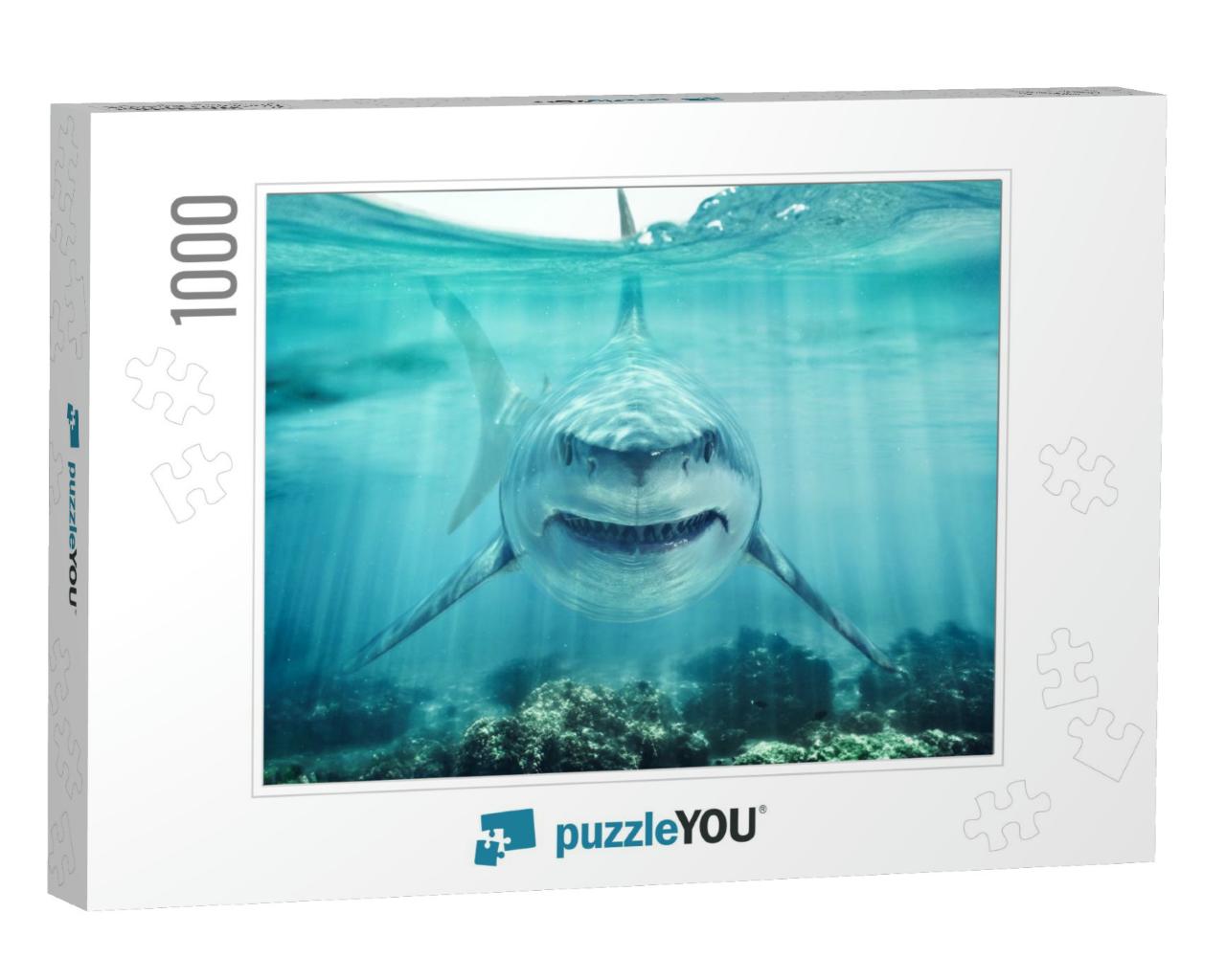 A Predator Great White Shark Swimming in the Ocean Coral... Jigsaw Puzzle with 1000 pieces