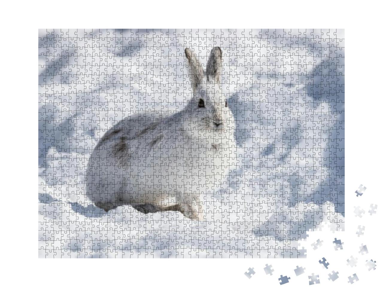 White Snowshoe Hare in Winter... Jigsaw Puzzle with 1000 pieces