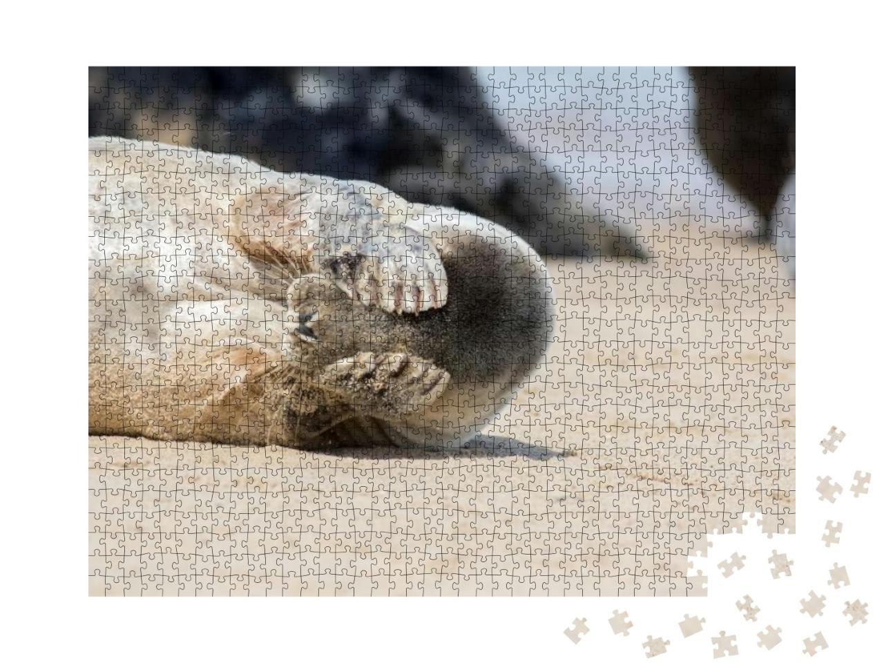 Peekaboo. Cute Seal Covering Its Eyes. Funny Animal Meme... Jigsaw Puzzle with 1000 pieces