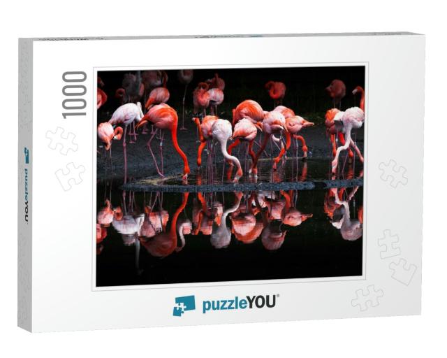 Flamingos or Flamingoes Are a Type of Wading Bird in the... Jigsaw Puzzle with 1000 pieces