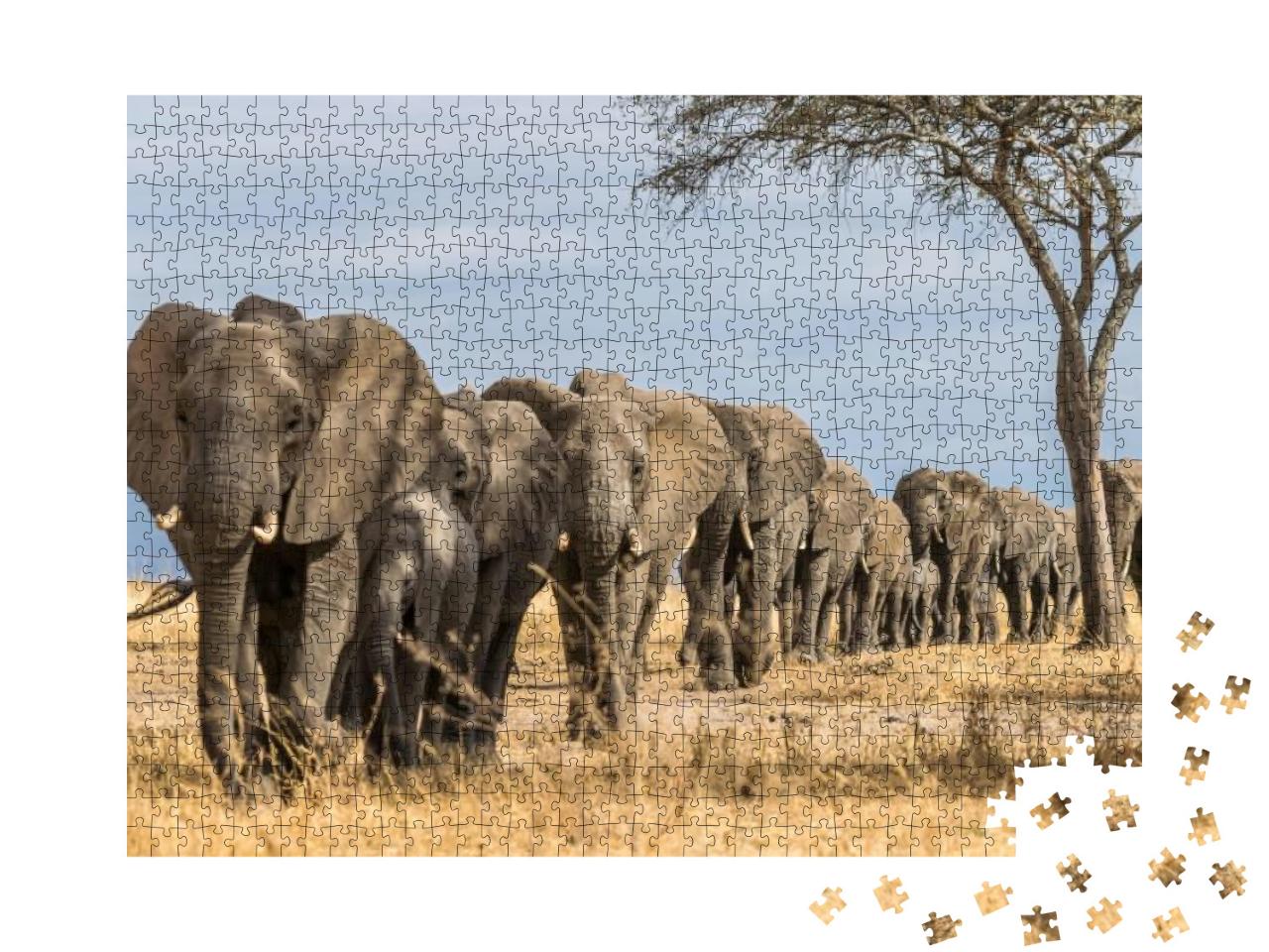 Herd of Elephants in Africa Walking Through the Grass in... Jigsaw Puzzle with 1000 pieces