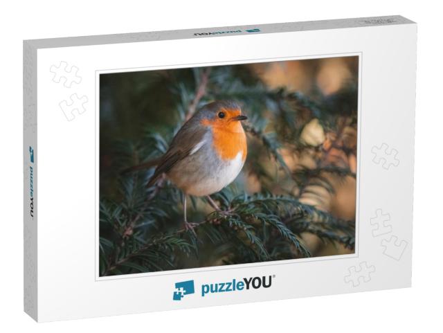 A Robin Sitting on a Green Branch... Jigsaw Puzzle