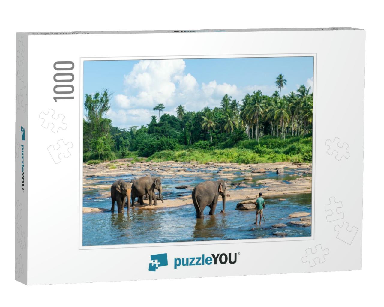 Group of Wild Elephant in Pinnawala Village of Sri Lanka... Jigsaw Puzzle with 1000 pieces
