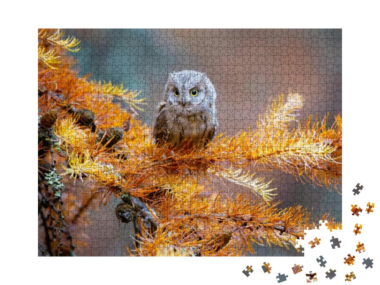 He Eurasian Scops Owl Otus Scops, Also Known as the Europ... Jigsaw Puzzle with 1000 pieces