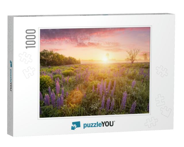 Sunrise on a Field Covered with Flowering Lupines in Spri... Jigsaw Puzzle with 1000 pieces