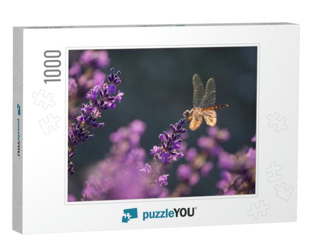 Blooming Lavender with Dragonfly Black Pennant in... Jigsaw Puzzle with 1000 pieces