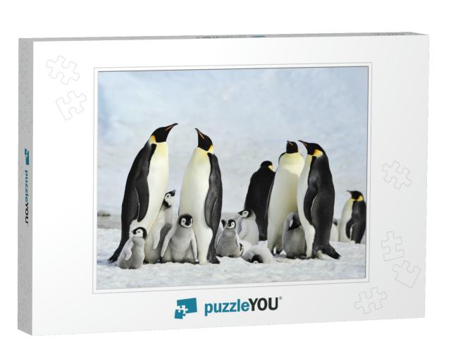 Emperor Penguin Colony At Snow Hill in Antarctica... Jigsaw Puzzle