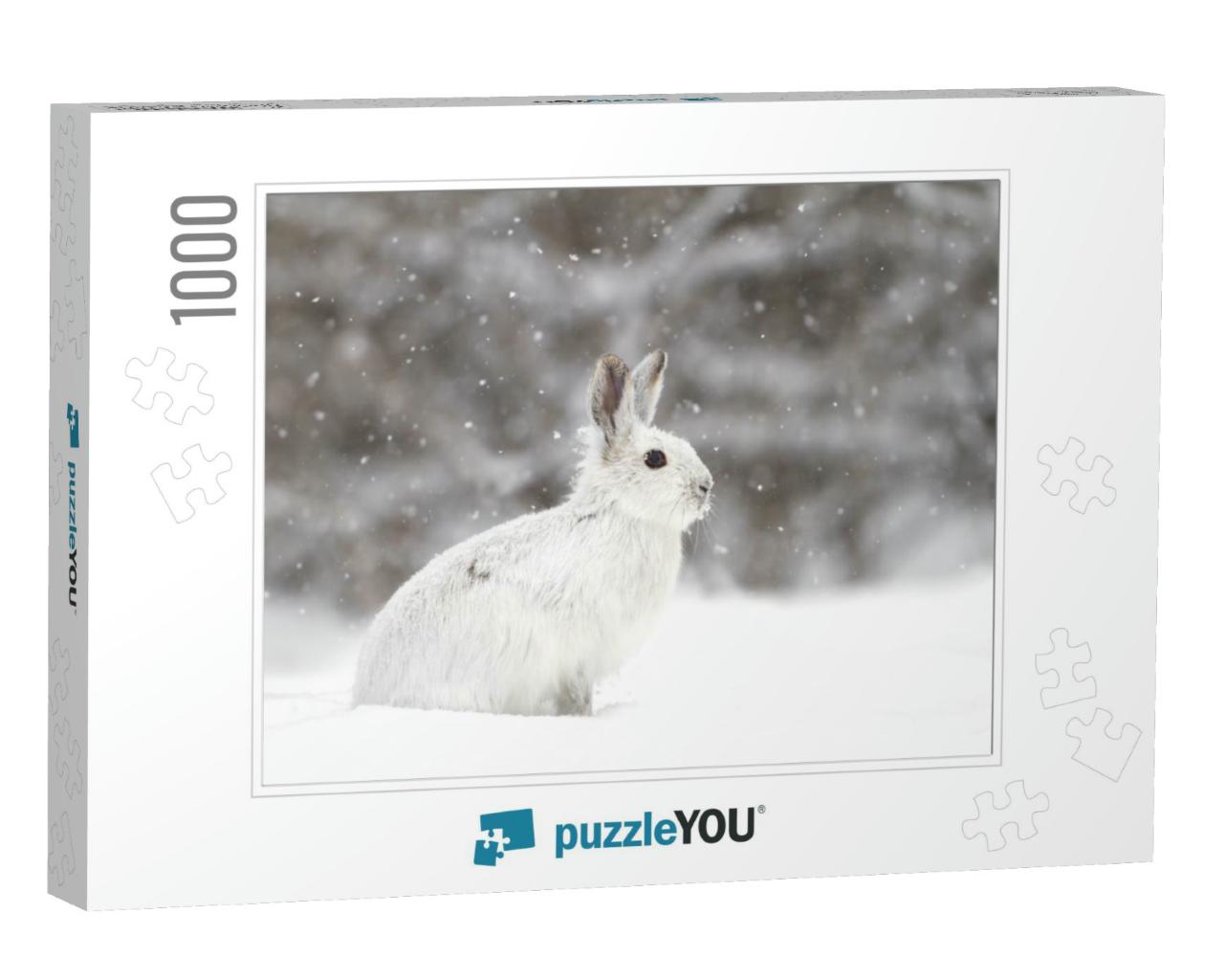 White Snowshoe Hare or Varying Hare in the Falling Snow i... Jigsaw Puzzle with 1000 pieces