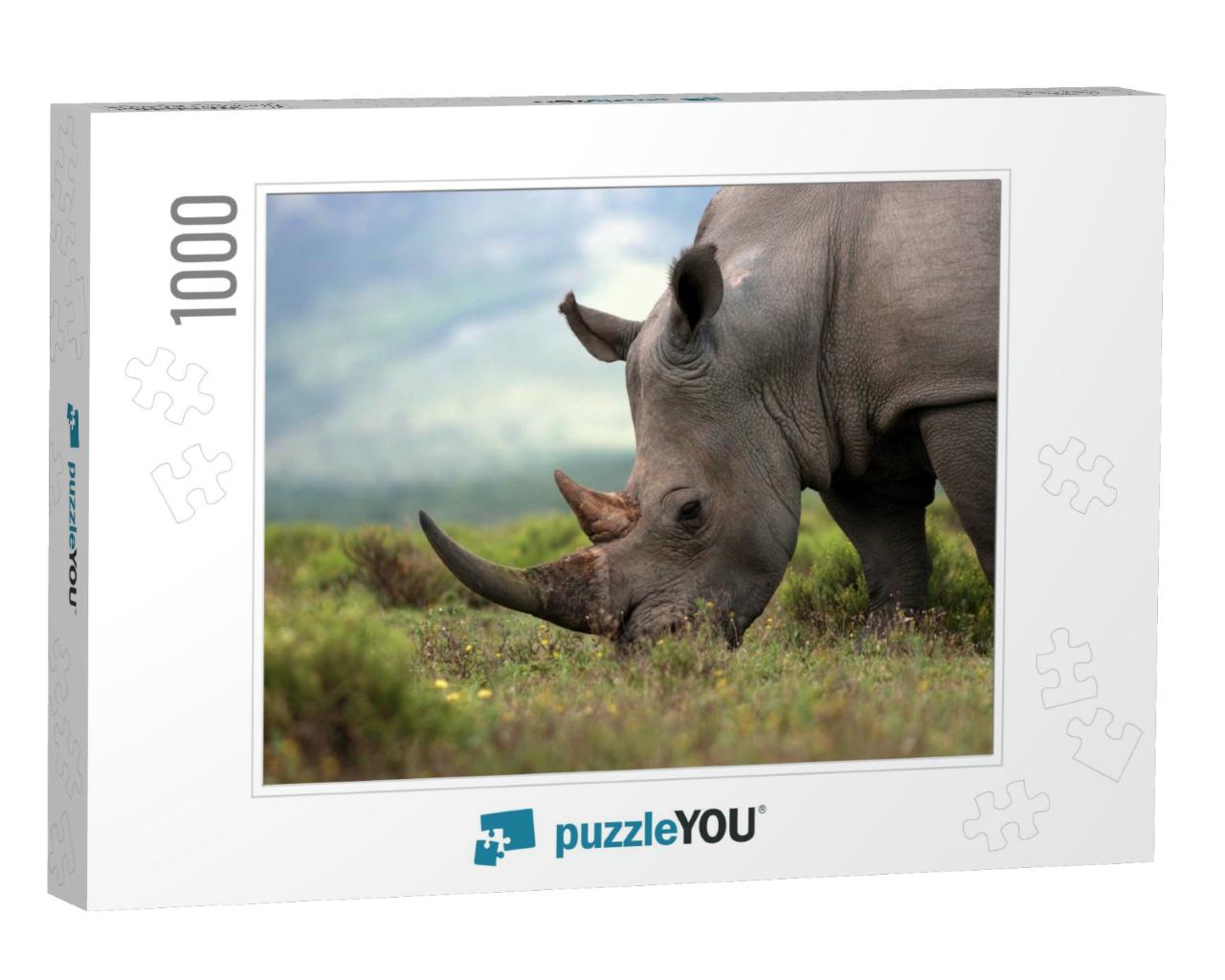 A Close Up Photo of an Endangered White Rhino / Rhinocero... Jigsaw Puzzle with 1000 pieces