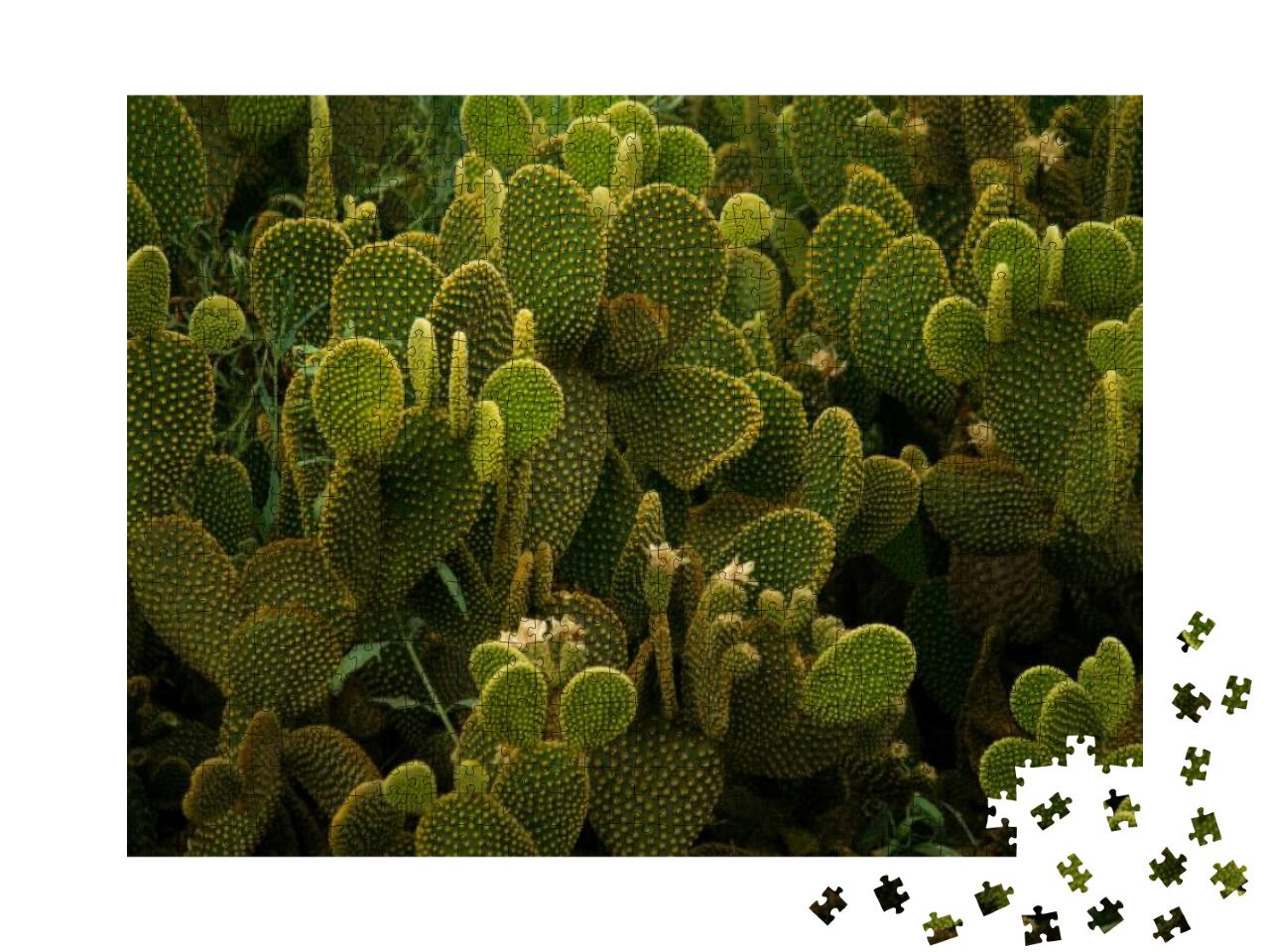Nature Texture. Desert Flora. Yellow Opuntia Microdasys o... Jigsaw Puzzle with 1000 pieces