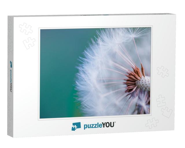 Closeup of Dandelion with Blurred Background, Artistic Na... Jigsaw Puzzle