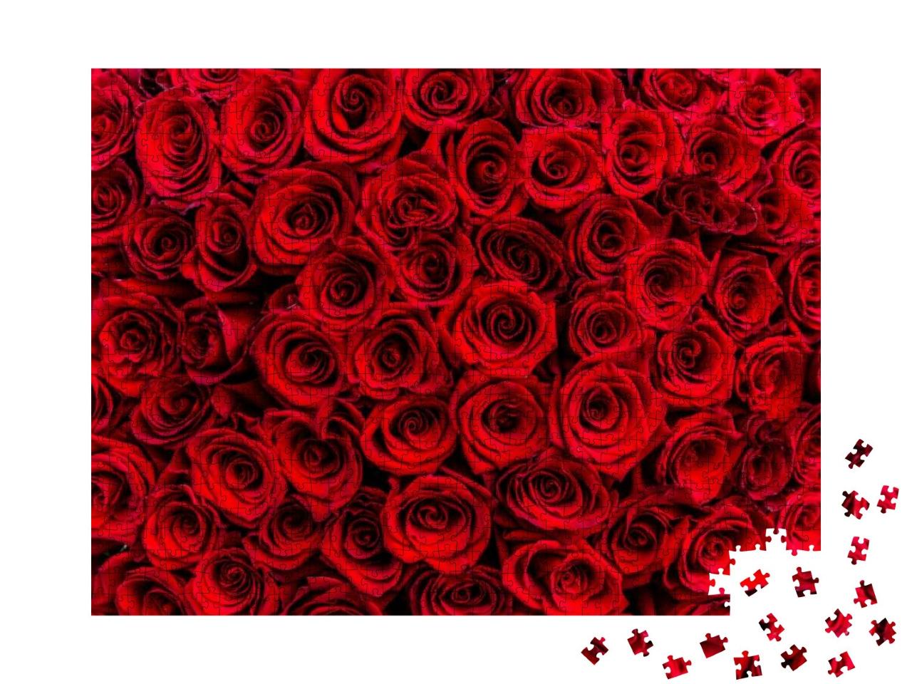 Fresh Dark Red Roses Close Up Texture Background... Jigsaw Puzzle with 1000 pieces