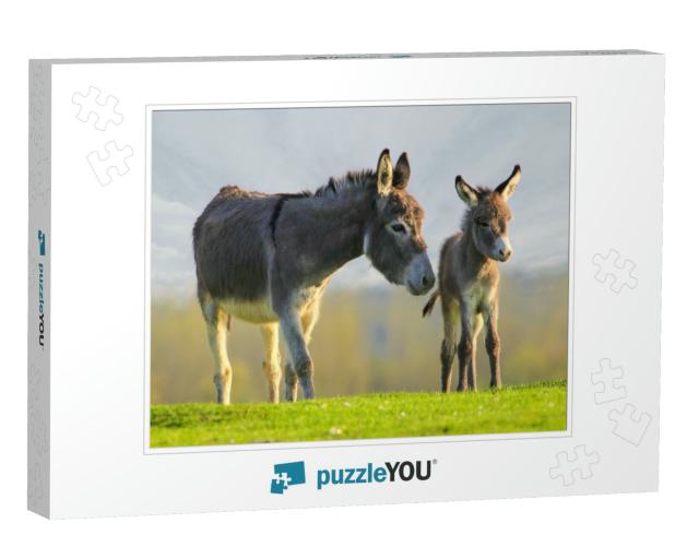Grey Cute Baby Donkey & Mother on Floral Meadow... Jigsaw Puzzle