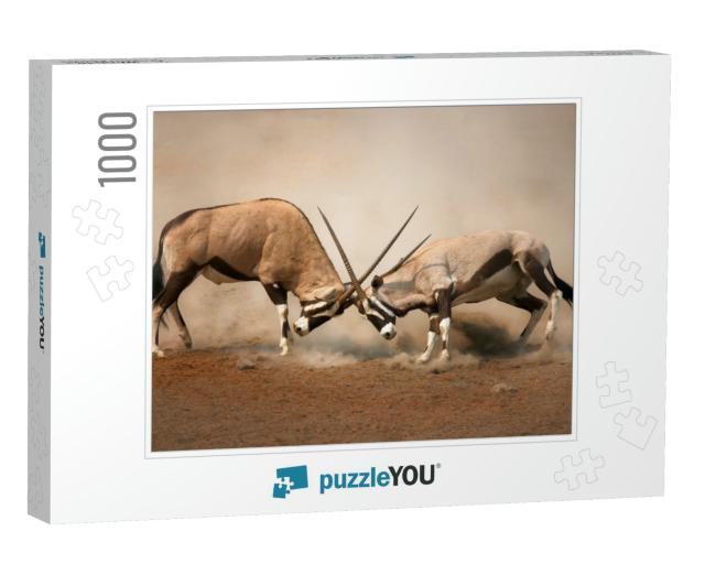 Intense Fight Between Two Male Gemsbok on Dusty Plains of... Jigsaw Puzzle with 1000 pieces