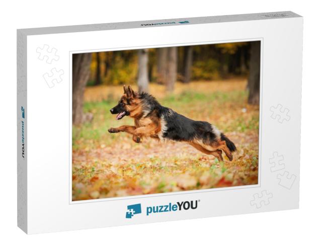 German Shepherd Dog Playing in Autumn... Jigsaw Puzzle