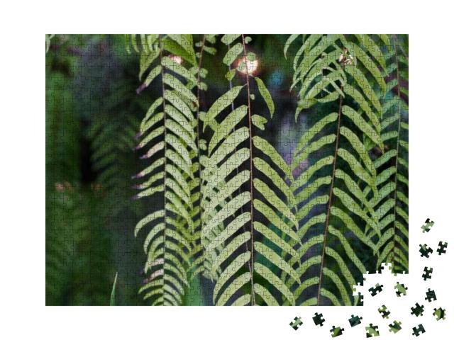 Giant Sword Fern Plant Hanging... Jigsaw Puzzle with 1000 pieces