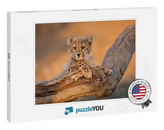 Baby Cheetah with Big Eyes Portrait Sitting on a Dead Log... Jigsaw Puzzle