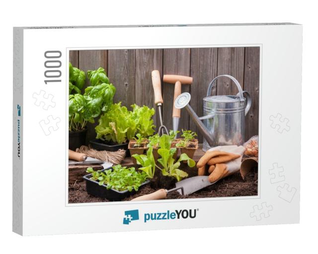 Seedlings of Lettuce with Gardening Tools Outside the Pot... Jigsaw Puzzle with 1000 pieces